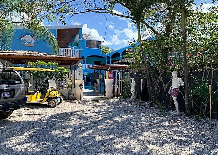 Hotel Toro Blanco